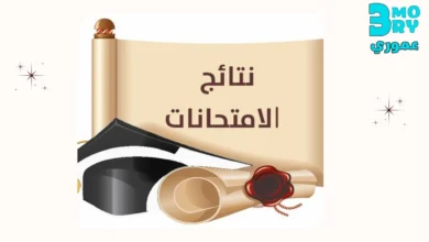 موقع-وزارة-التربية-والتعليم-نتائج-الامتحانات-برقم-الجلوس-2025