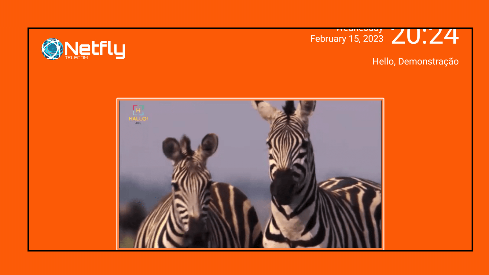 تحميل تطبيق Netfly TV للاندرويد 2026 اخر اصدار مجانا