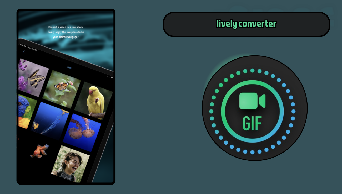 تحميل تطبيق lively converter للايفون اخر اصدار مجانا 2026