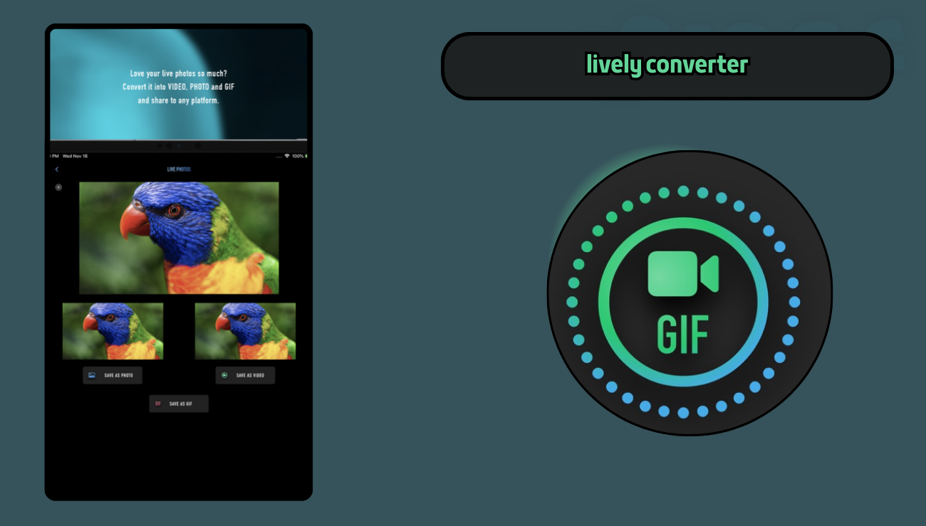 تحميل تطبيق lively converter للايفون اخر اصدار مجانا 2026
